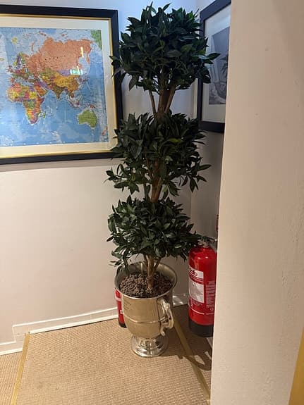 Newport- 2x plant pots with plastic trees - Konstgjort träd i stor pokal-kruka
