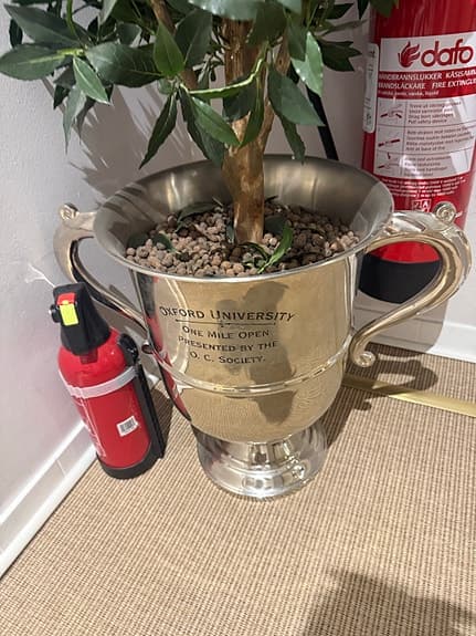 Newport- 2x plant pots with plastic trees - Konstgjort träd i stor pokal-kruka