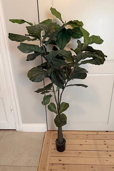 Fikusträd i kruka (konstgjord)