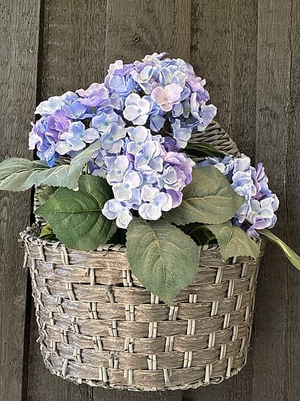 Blå fake hortensia i kruka