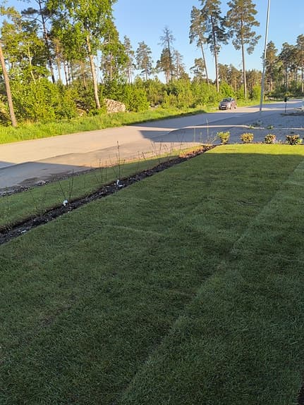 Rullgräs / färdig gräsmatta på rulle
