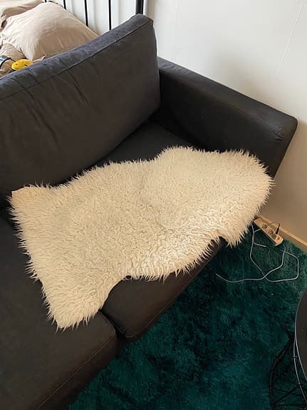 IKEA fårskinnsmatta vit + kudde