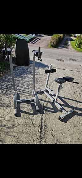Body solid Roman chair & power tower