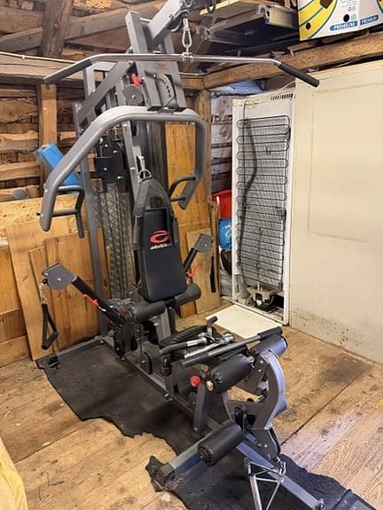 Multigym och dipsställning hemmagym