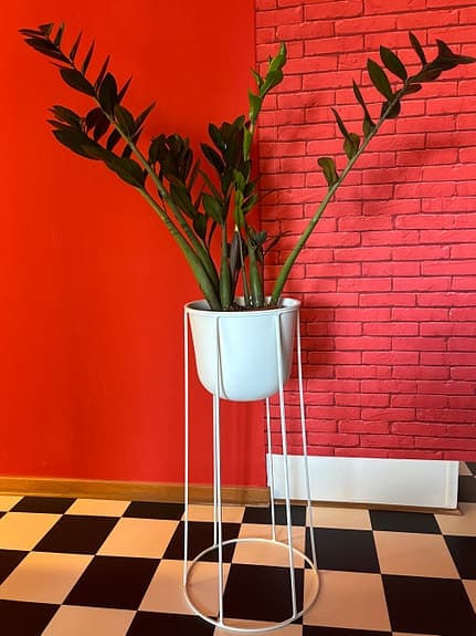 Design Kruka i en ställning / Piedestal i järn!