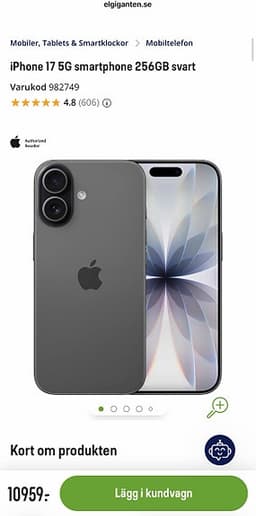 Apple iPhone 17 256 GB grå