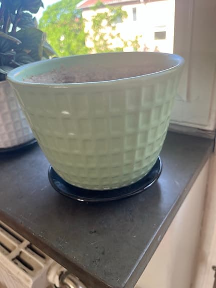 Upsala ekeby Gunilla diameter 19cm