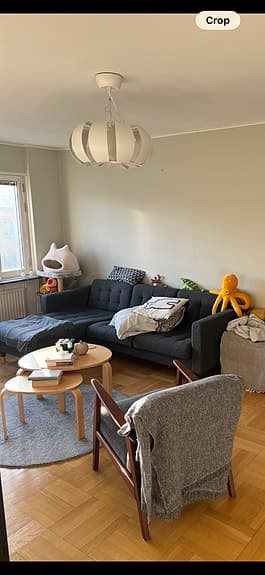 IKEA LANDSKRONA Couch