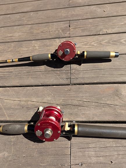 Abu Garcia Ambassadeur 5000 fiskespön med rullar svart/guld/röd