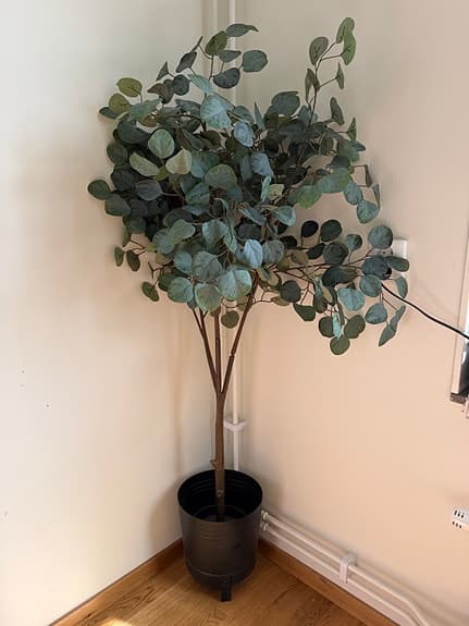 Eukalyptus träd konstgjord