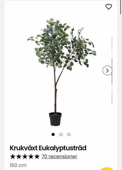 Eukalyptus träd konstgjord