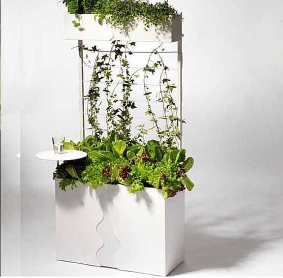 Vit planteringslåda med spaljé för odling