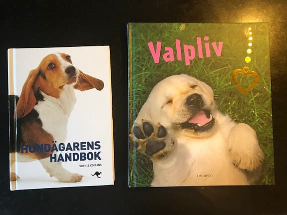 Två handböcker om hundar