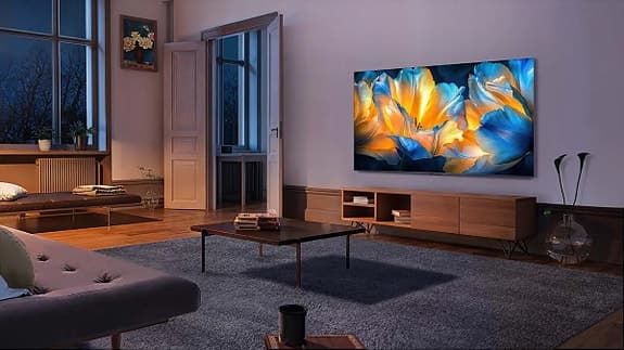 65 tums TV letar nytt hem