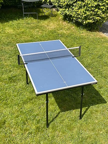 Minipingisbord med nät