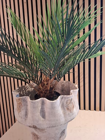 Konstgjord Palm från MrPlant