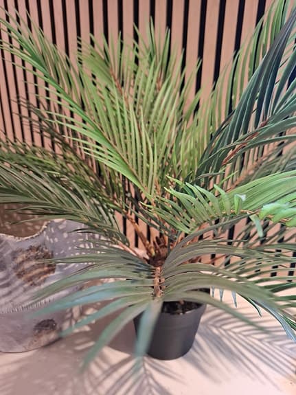 Konstgjord Palm från MrPlant