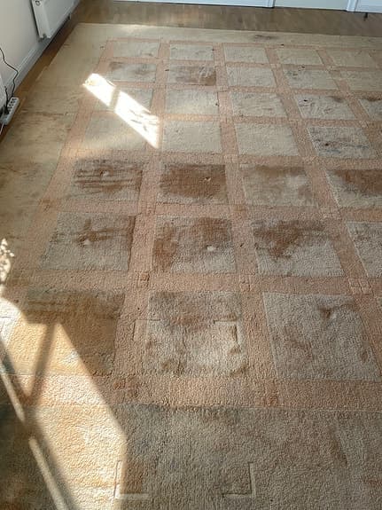 Kasthall Ateljé matta rutmönstrad beige