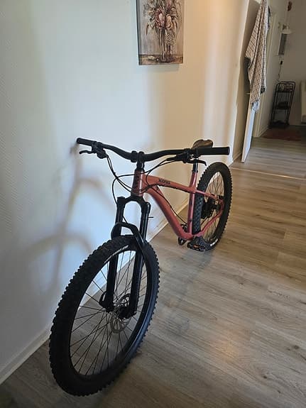 Big Honzo dl, Dropper, Rockshock 35 guld, PNW, SLX, XT shifter