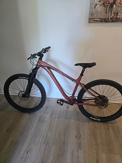 Big Honzo dl, Dropper, Rockshock 35 guld, PNW, SLX, XT shifter