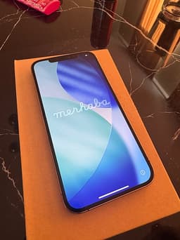 iPhone 12 Pro Max 256 GB – Guld – Fint skick
