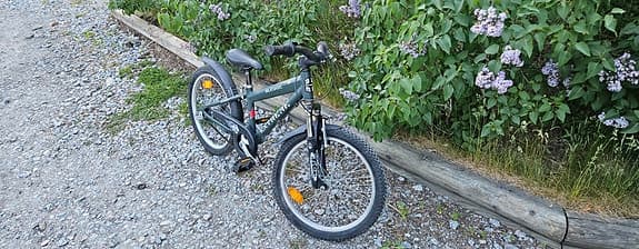 superfin pojkcykel skedde extreme 3vxl