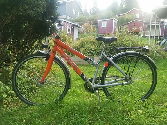 Damcyklar