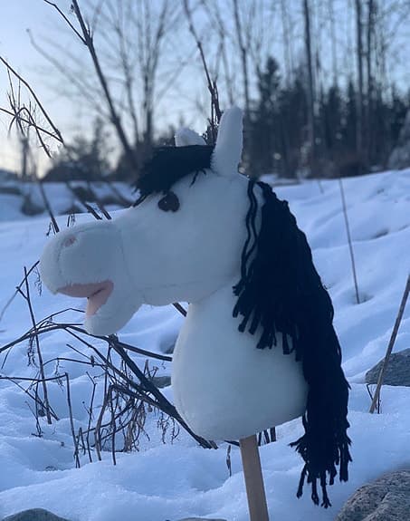 Käpphäst, Nemo