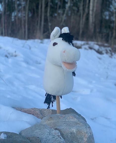 Käpphäst, Nemo