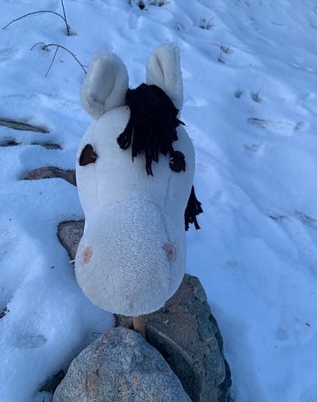 Käpphäst, Nemo