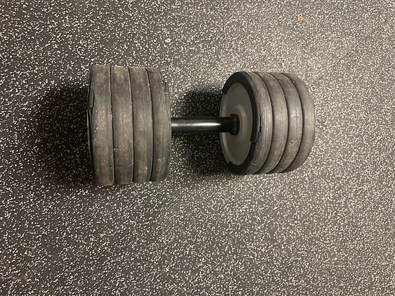 Technogym hantel 32 kg