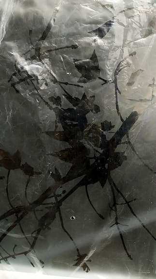 Camargue Skärgård rak med frostat mönstrat glas 80x198 cm