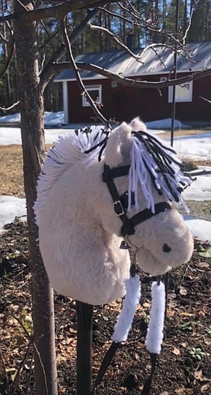 Fin käpphäst