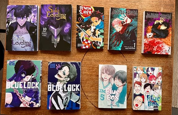 Solo Leveling, Demon Slayer, Jujutsu Kaisen, Blue Box, Fullmetal Alchemist