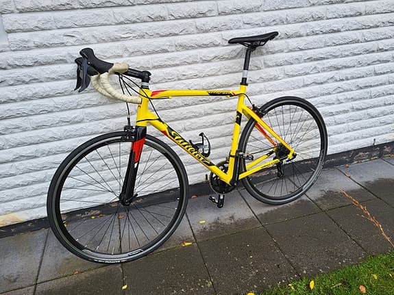 Wilier Montegrappa Triestina Large