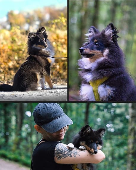 Sony a6000 kamerapaket med Sony FE 50mm f/1.8 + standardobjektiv