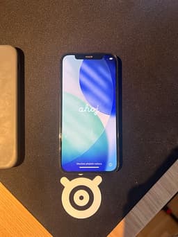 iPhone 12 Pro