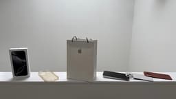 Apple iPhone 16 Pro 256 GB vit