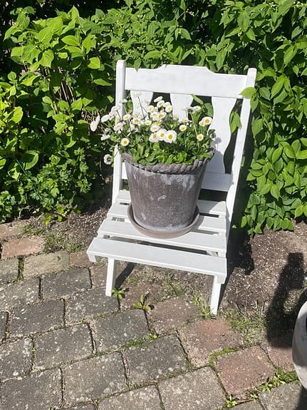 Vit trädgårdsstol i trä