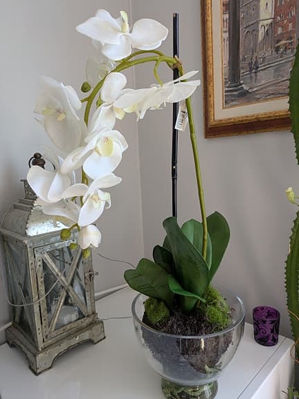 Orchidé konstväxt 61 cm