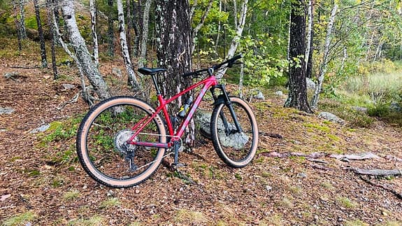 Hardtail MTB Trek Procaliber 8 Fury Red