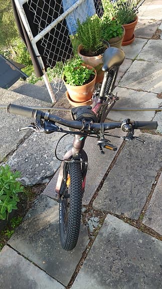 Orbea mx 20"