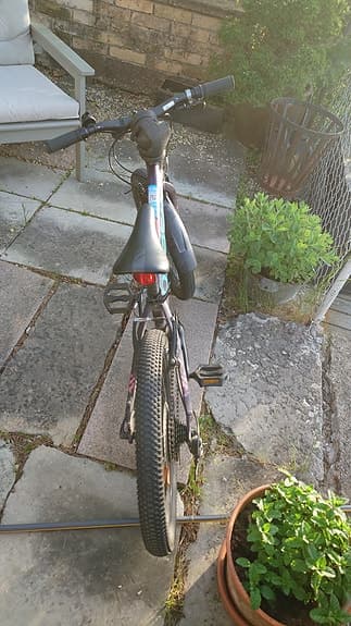 Orbea mx 20"