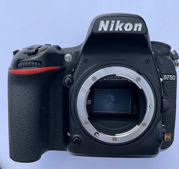 Nikon D750 + Tamron 24-70 G2 + Nikon 50/1.8G + Tamron 70-300 VC