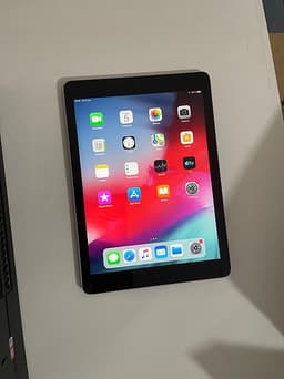 iPad Air, 16GB, iOS 12.5.8,  netflix, YouTube kids, snabcach, Facebook  små spel