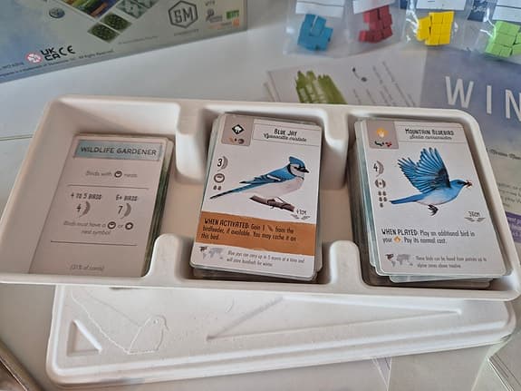 Wingspan (2nd Edition) Eng