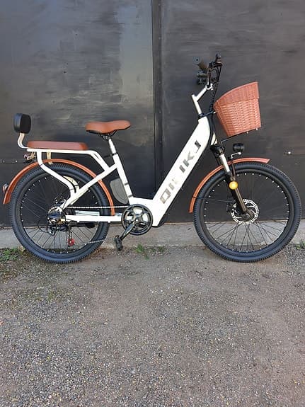 Bakfiets.nl elcykel 26" M dam