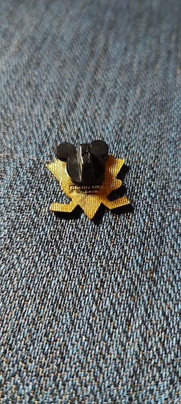 Walt Disney Mighty Ducks Pin
