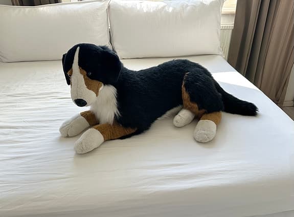 Stort hund gosedjur mjukisdjur Berner Sennenhund realistiskt verklighetstroget