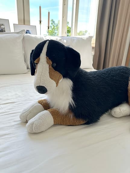 Stort hund gosedjur mjukisdjur Berner Sennenhund realistiskt verklighetstroget